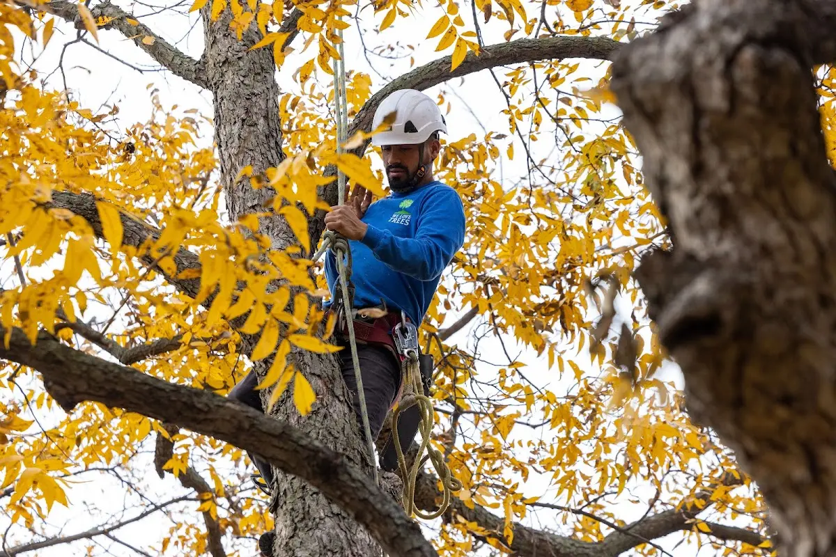 Skilled Storm Damage Cleanup crew working in Garden City