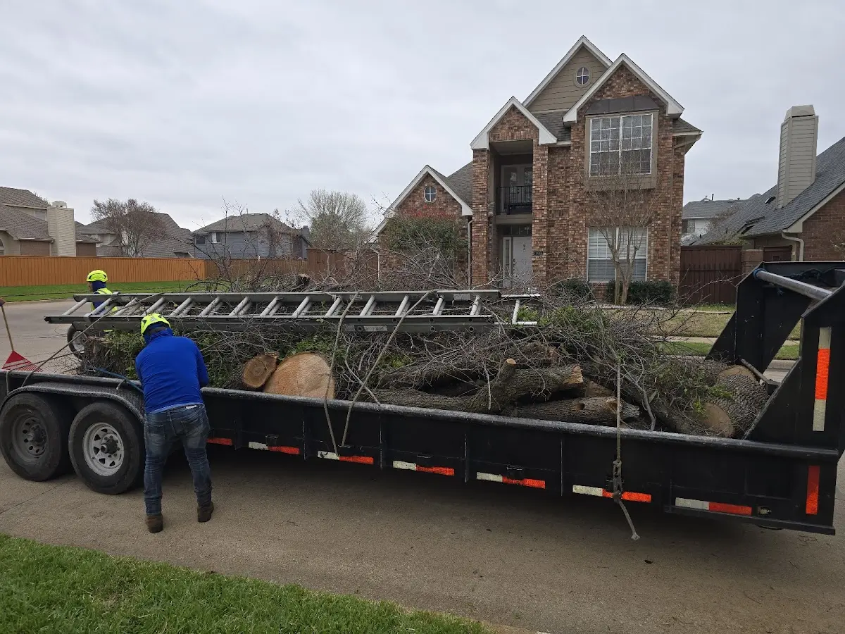 Expert Tree Fertilization with proper safety equipment in Garden City